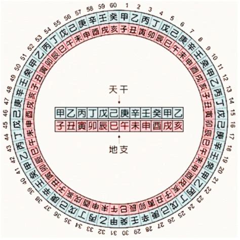 流年天干地支表|干支纪年对照表，天干地支年份对照表